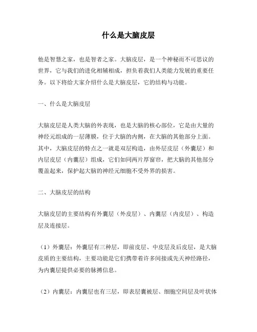 什么是大脑皮层