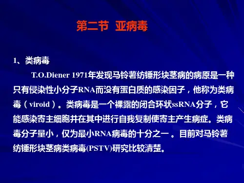 亚病毒的介绍课件