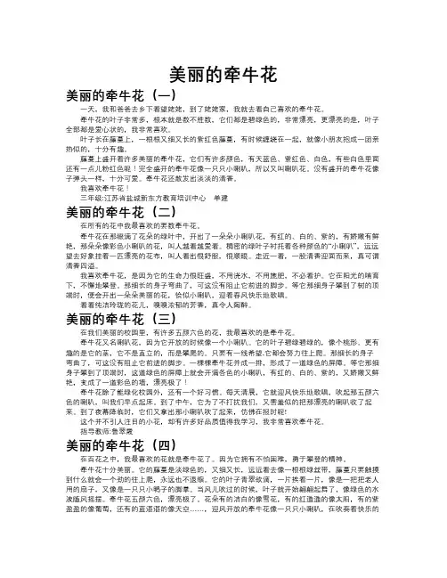 美丽的牵牛花作文共九篇