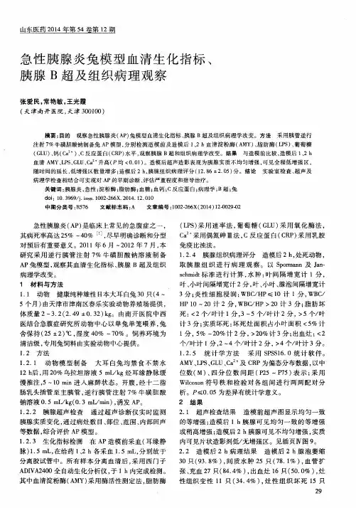 急性胰腺炎兔模型血清生化指标、胰腺B超及组织病理观察