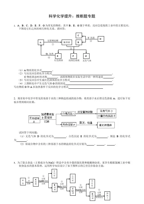 浙教版科学九年级上册  推断题专题(附答案)