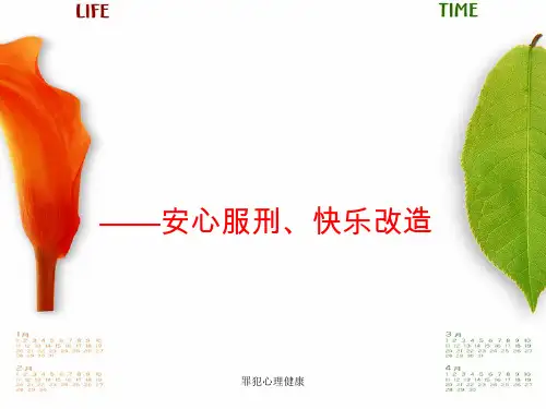 罪犯心理健康 ppt课件
