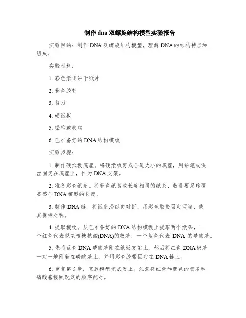 制作dna双螺旋结构模型实验报告