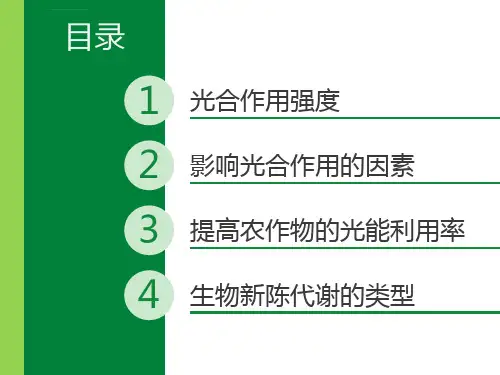 生物ppt课件光合作用