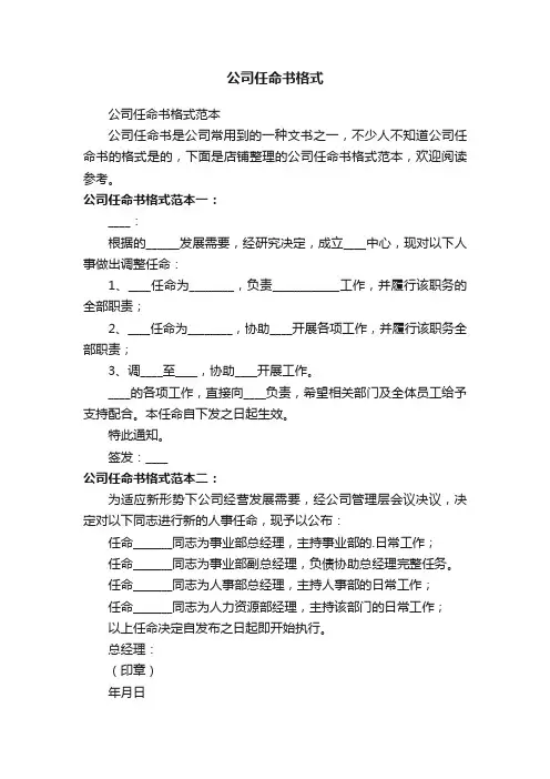 公司任命书格式