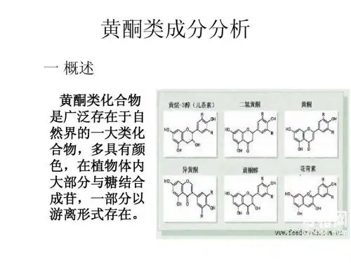 黄酮类成分分析