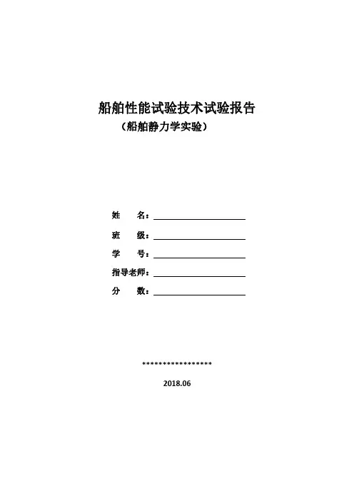 船舶性能试验技术报告