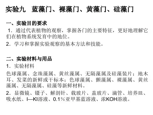 七年级生物水中的藻类植物(PPT)3-2