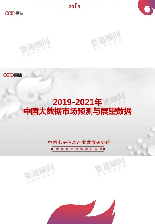 【精品报告】2019-2021年中国大数据市场预测与展望数据