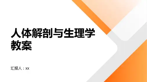生物科学教案-人体解剖与生理学