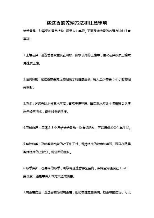迷迭香的养殖方法和注意事项