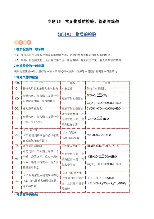 中考化学复习基础知识清单(全国)专题13 常见物质的检验、鉴别与除杂