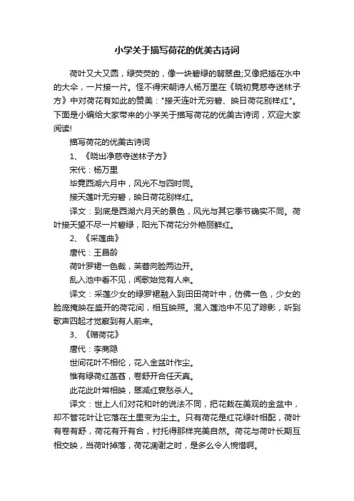小学关于描写荷花的优美古诗词