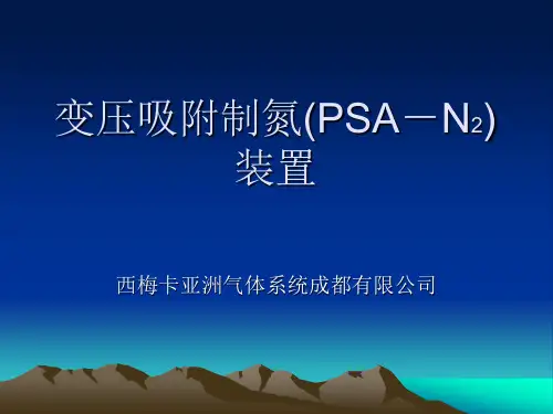 变压吸附制氮(PSA-N2)-Customer