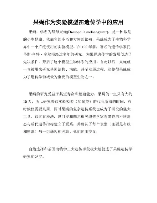 果蝇作为实验模型在遗传学中的应用