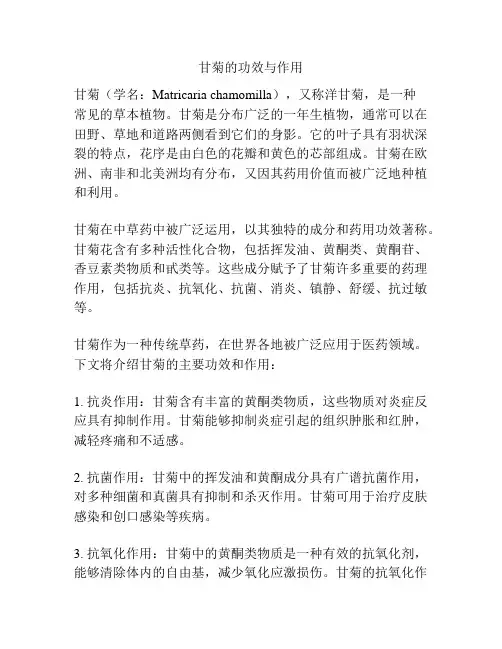 甘菊的功效与作用