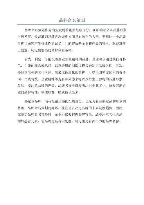 品牌命名策划