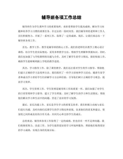 辅导班各项工作总结