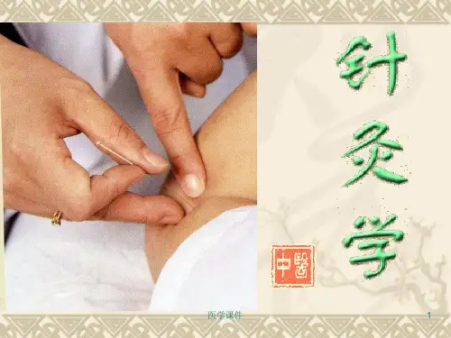 《针灸学》经络总论概述  PPT课件