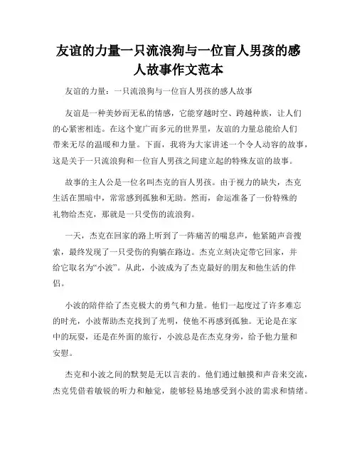 友谊的力量一只流浪狗与一位盲人男孩的感人故事作文范本