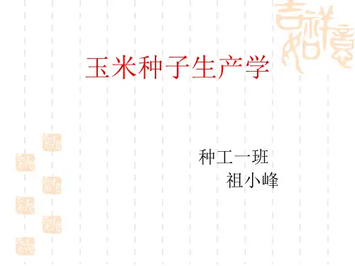 玉米种子生产学课件(PPT 47张)