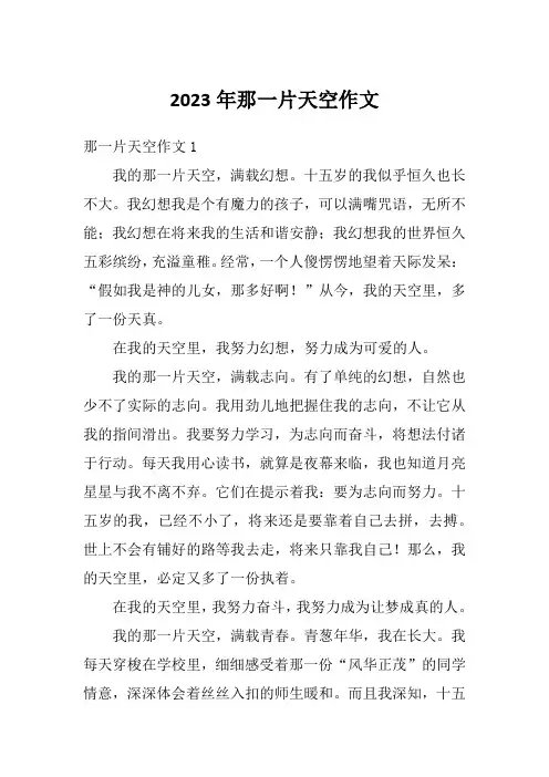 2023年那一片天空作文