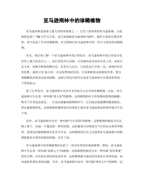 亚马逊雨林中的珍稀植物