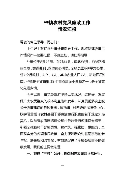 乡镇农村党风廉政工作汇报