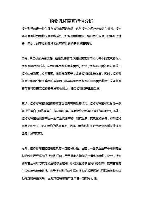 植物乳杆菌可行性分析