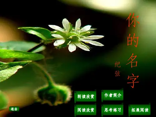 高中语文-《你的名字》-新人教版选修《中国现代诗歌散文欣赏》
