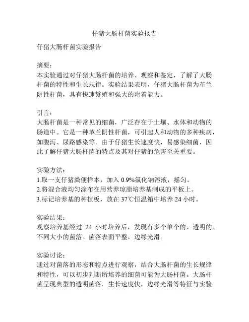 仔猪大肠杆菌实验报告