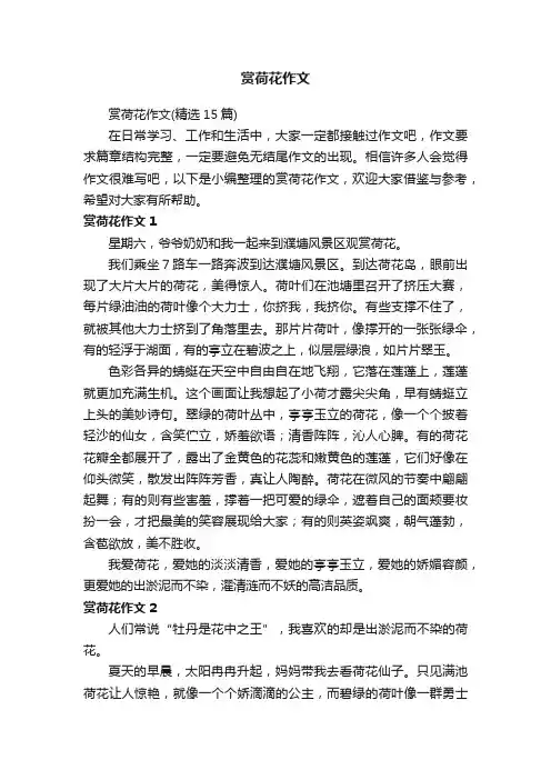 赏荷花作文（精选15篇）