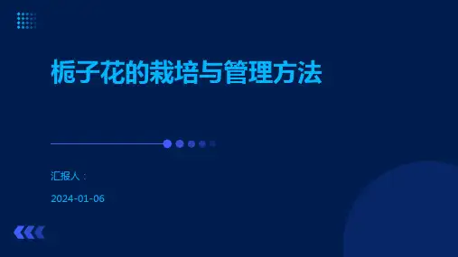 栀子花的栽培与管理方法
