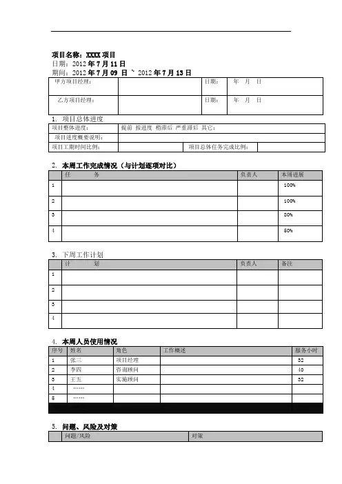 IT项目周报模板