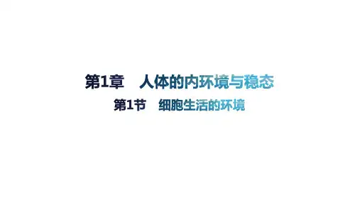 细胞生活的环境pp课件