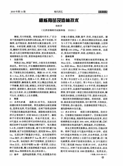 槲栎育苗及造林技术