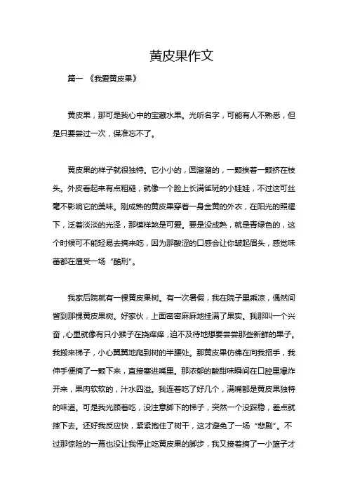 黄皮果作文