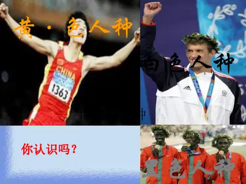 七上《世界的人种》精品课件
