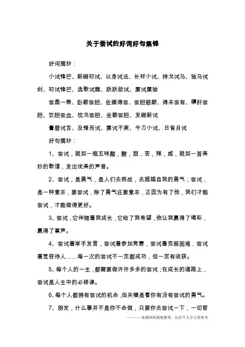 关于尝试的好词好句集锦