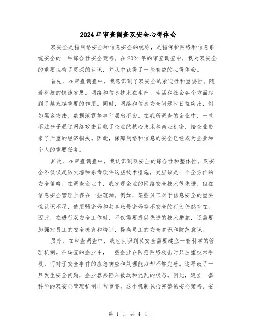 2024年审查调查双安全心得体会(2篇)