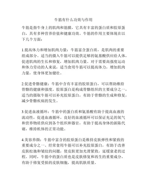 牛筋有什么功效与作用