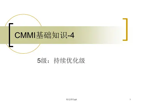 CMMI基础知识级ppt课件
