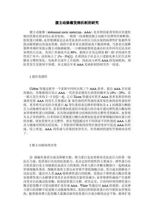 腹主动脉瘤发病机制的研究