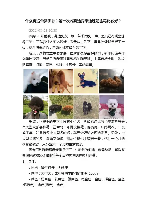 什么狗适合新手养？第一次养狗选择泰迪还是金毛比较好？