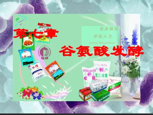 味精的发酵