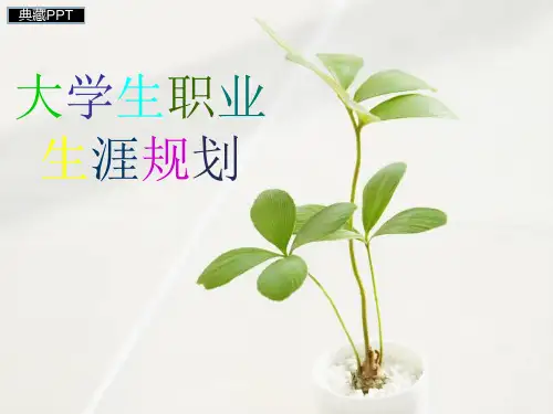 大学生职业生涯规划与职业评估调整PPT课件