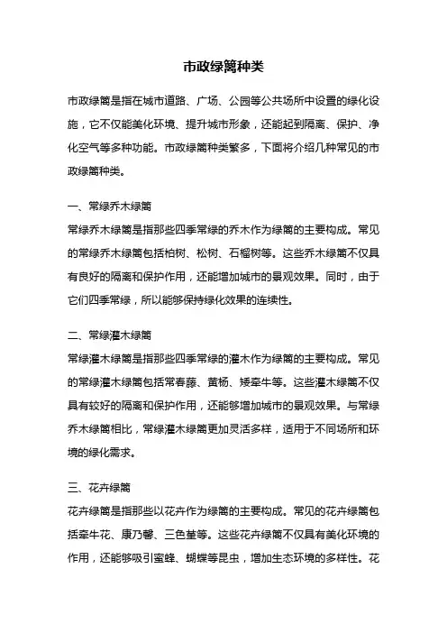 市政绿篱种类