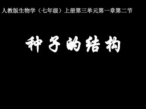 【初中生物】种子的结构PPT课件