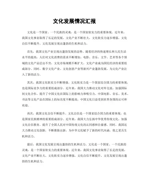 文化发展情况汇报