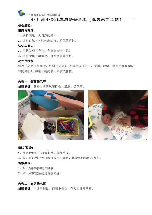 幼儿中班主题活动《春天来了》：个别化